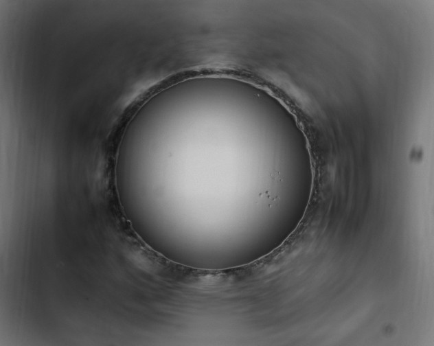 X0000103451160200809121420