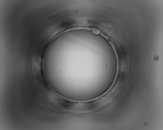 X0000103451161200809121420