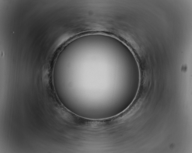 X0000103451163200809121420