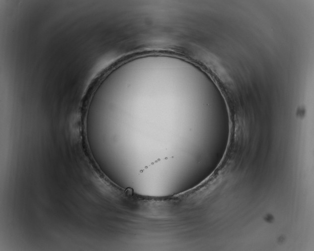 X0000103451164200809121420