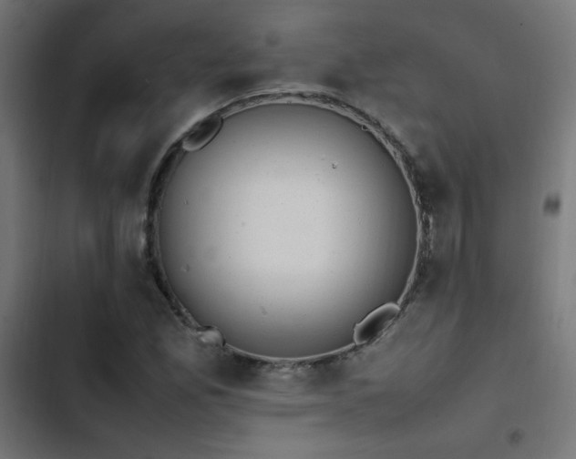 X0000103451165200809121420