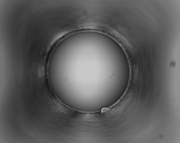 X0000103451166200809121420