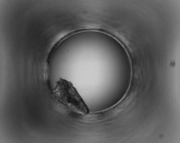 X0000103451171200809121420