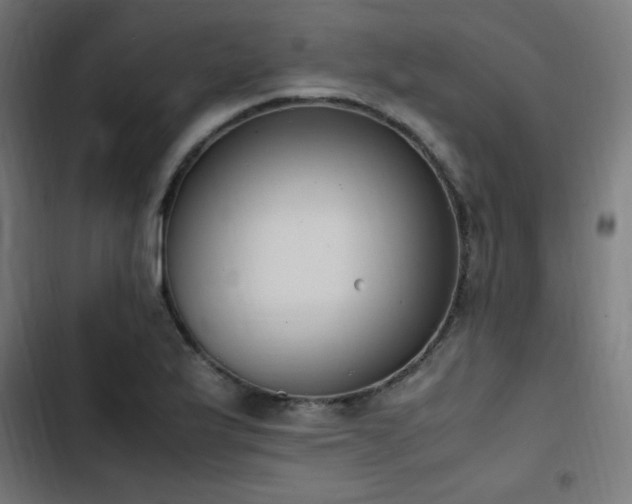 X0000103451175200809121420