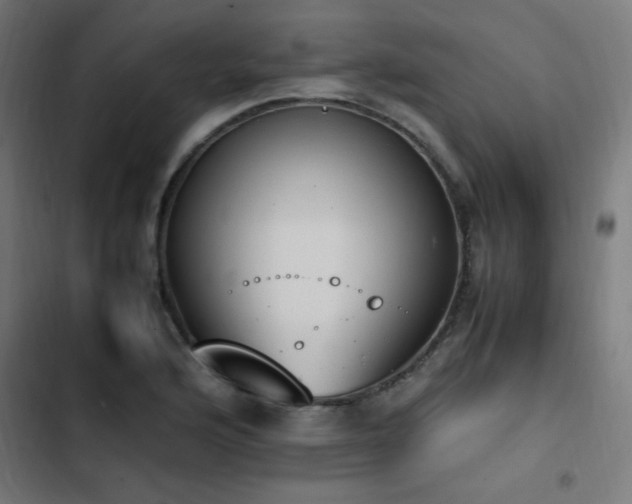 X0000103451176200809121420