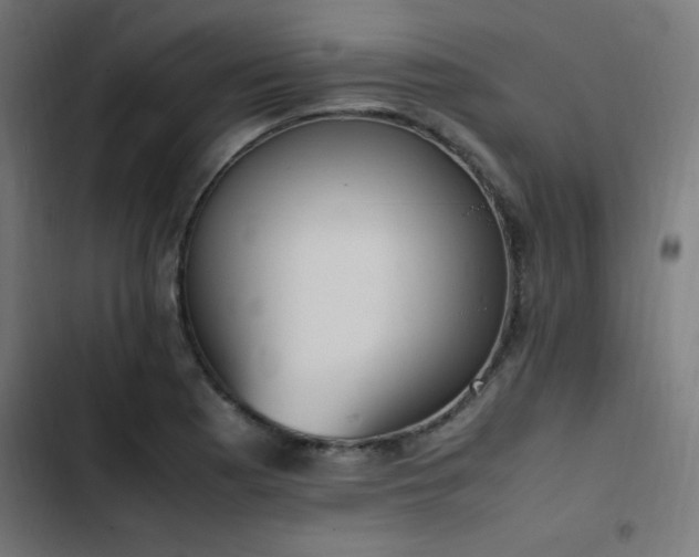 X0000103451177200809121420