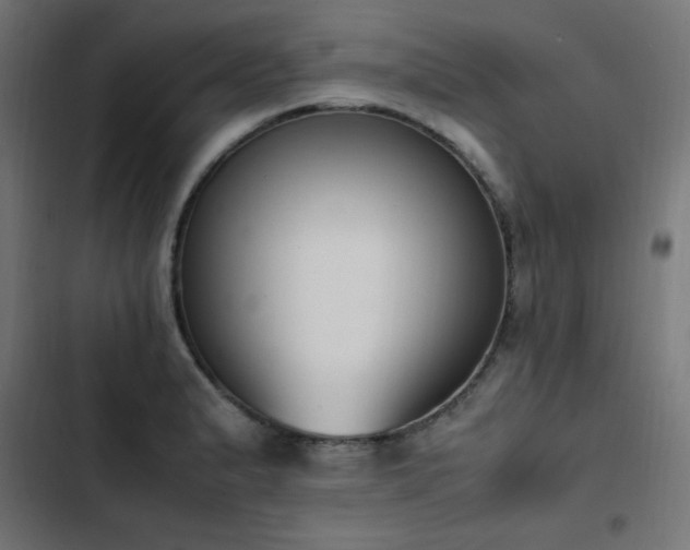 X0000103451183200809121420
