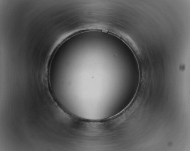 X0000103451184200809121420