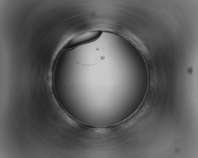 X0000103451188200809121420