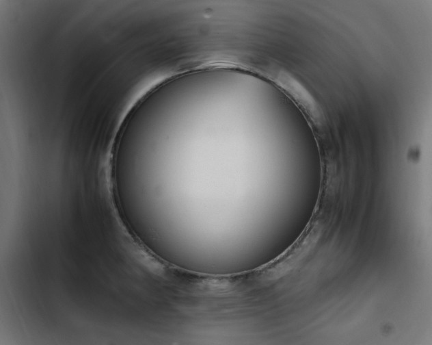 X0000103451190200809121420
