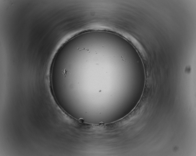 X0000103451191200809121420