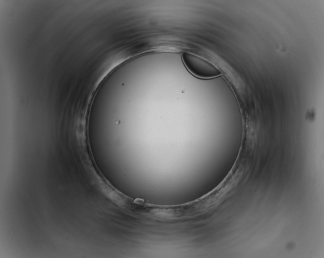 X0000103451194200809121420