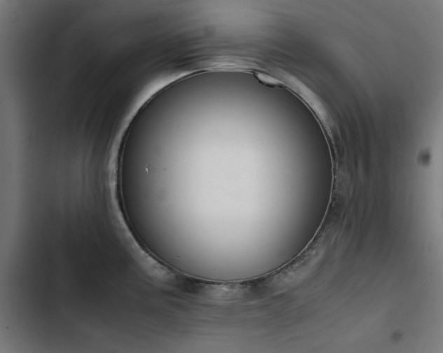 X0000103451195200809121420