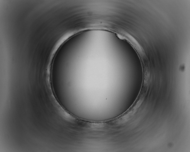 X0000103451196200809121420