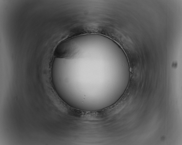 X0000103451201200809121419