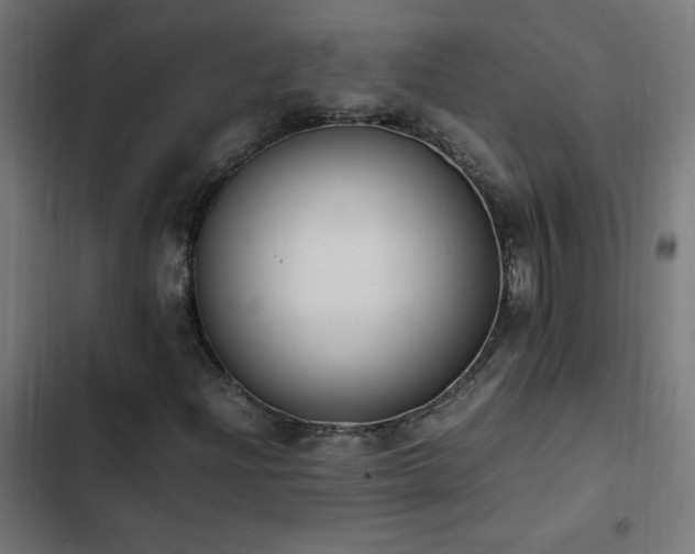 X0000103451204200809121419