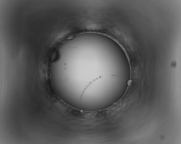 X0000103451205200809121419