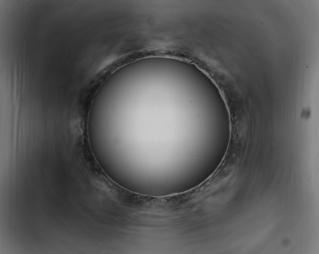 X0000103451206200809121419