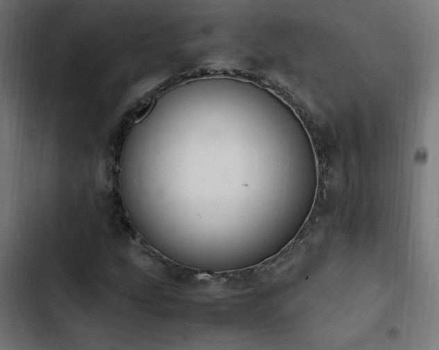 X0000103451207200809121419
