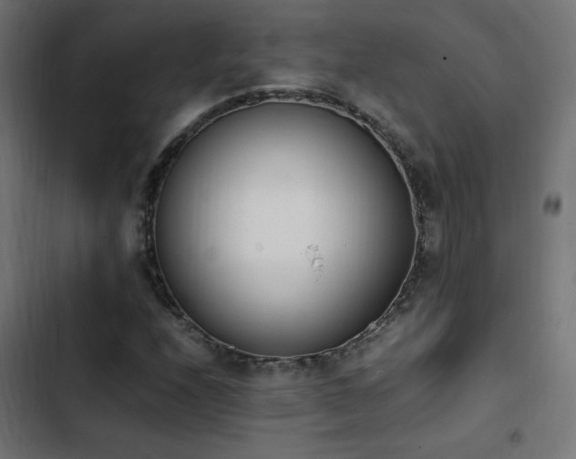 X0000103451208200809121419