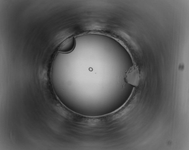 X0000103451209200809121419