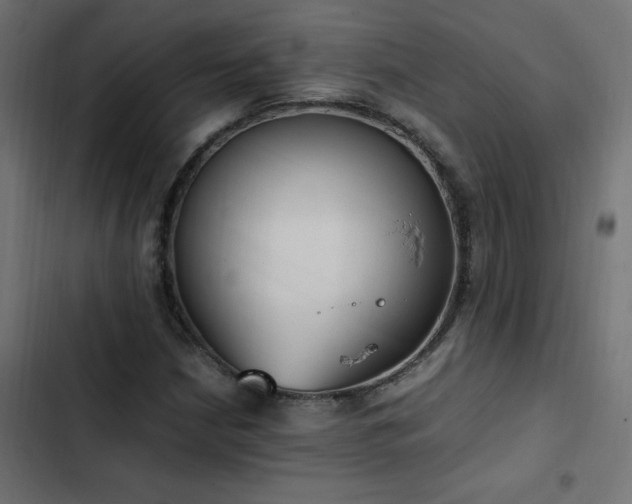 X0000103451210200809121419