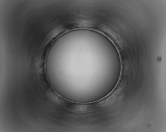 X0000103451211200809121419