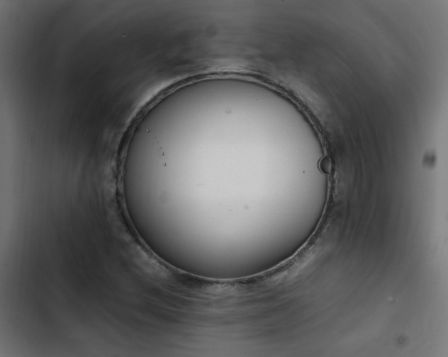 X0000103451212200809121419