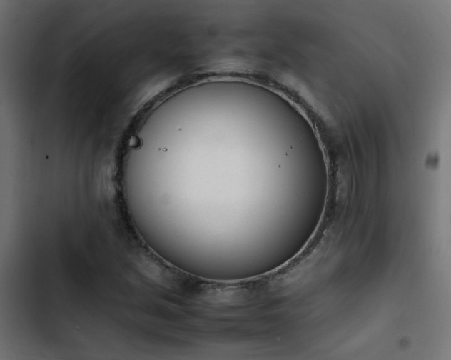 X0000103451213200809121419
