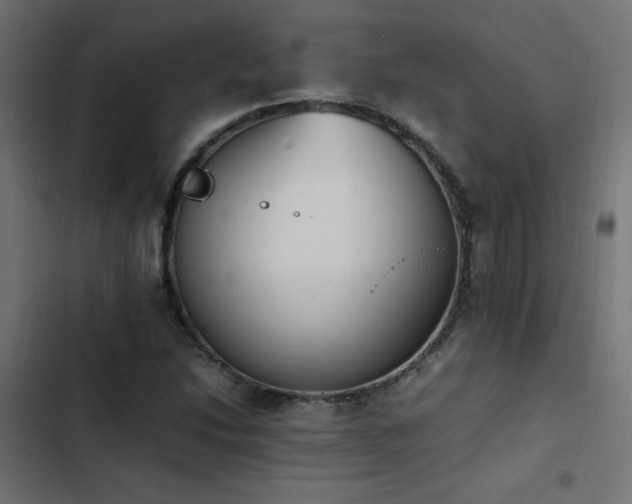 X0000103451214200809121419