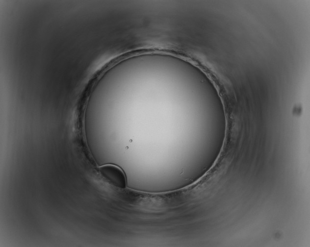 X0000103451215200809121419