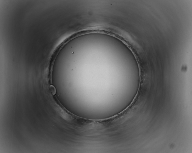 X0000103451216200809121419