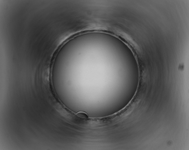 X0000103451220200809121419