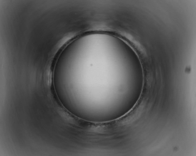X0000103451221200809121419