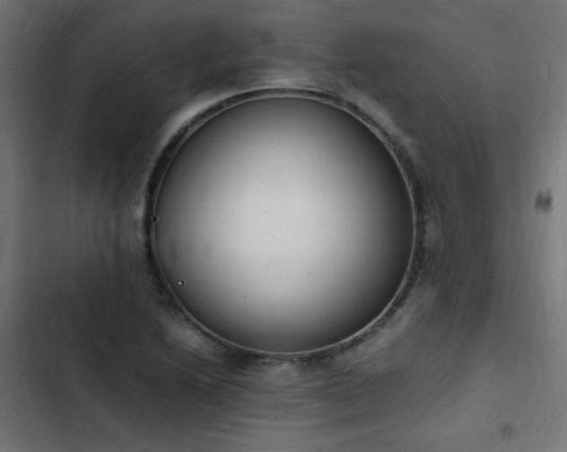 X0000103451222200809121419