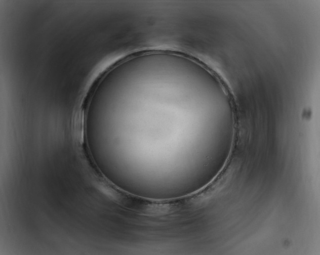 X0000103451223200809121419