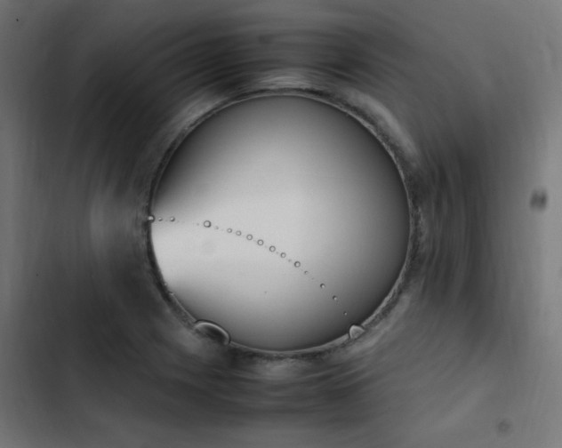 X0000103451225200809121419