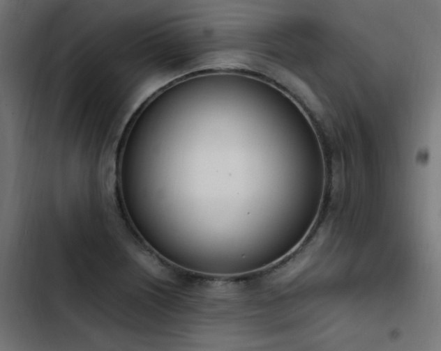 X0000103451226200809121419