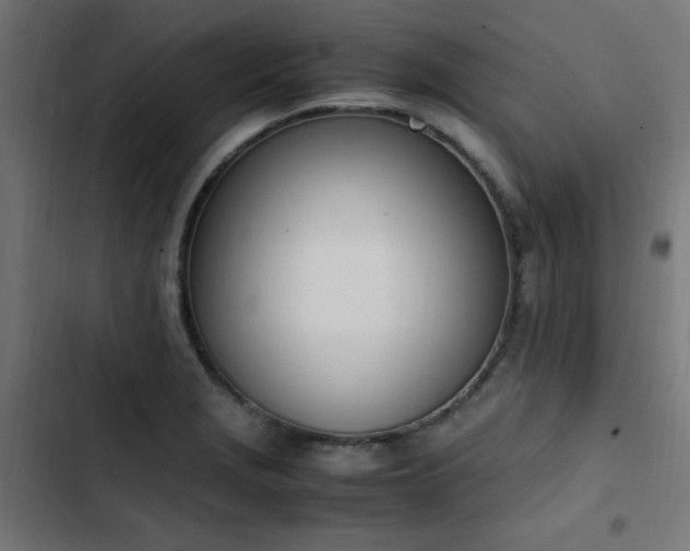 X0000103451229200809121419