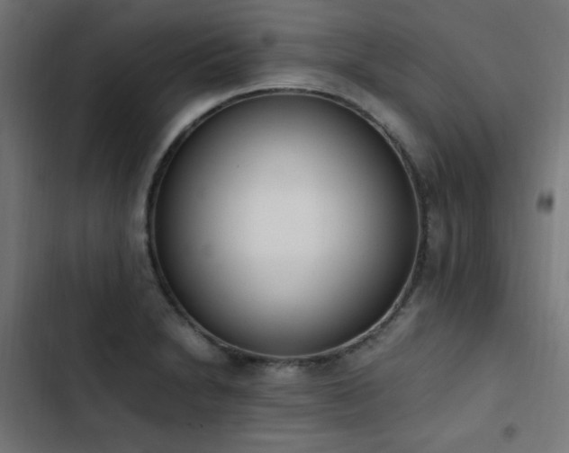 X0000103451230200809121419
