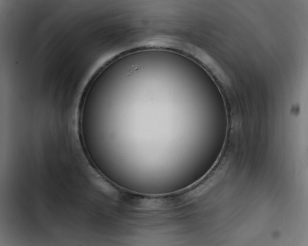 X0000103451232200809121419