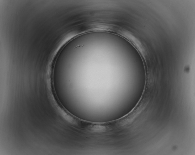 X0000103451235200809121419