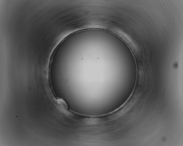X0000103451236200809121419