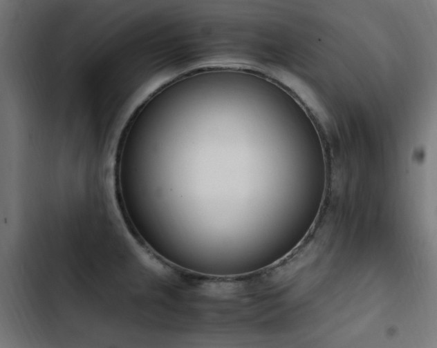 X0000103451237200809121419