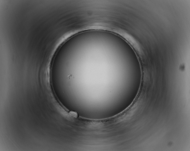 X0000103451238200809121419