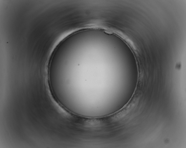 X0000103451239200809121419