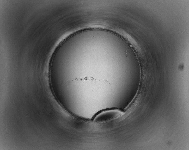X0000103451240200809121419
