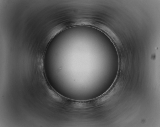 X0000103451241200809121419