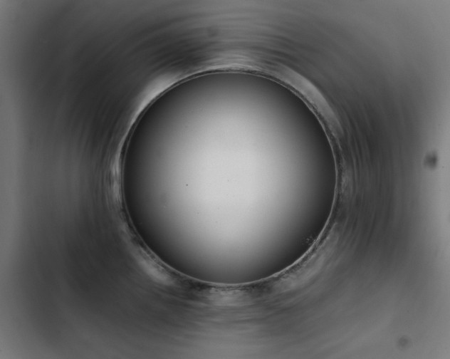 X0000103451242200809121419