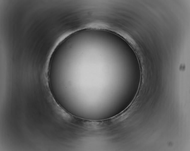 X0000103451248200809121420